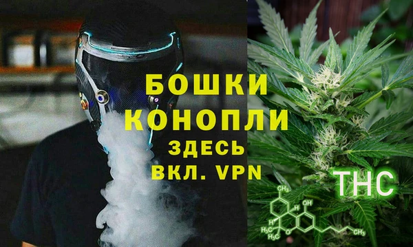 винт Алзамай