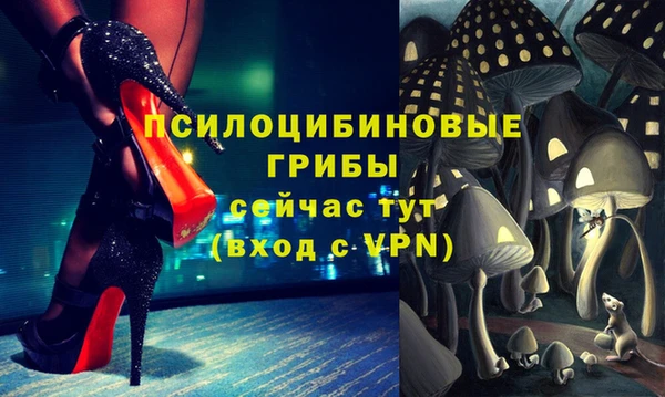 винт Алзамай