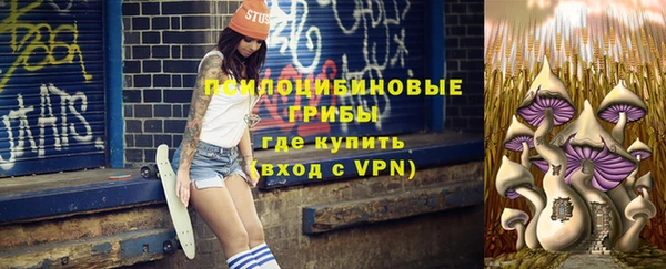 ПСИЛОЦИБИНОВЫЕ ГРИБЫ Сосновка
