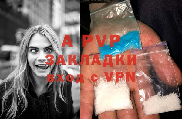винт Алзамай