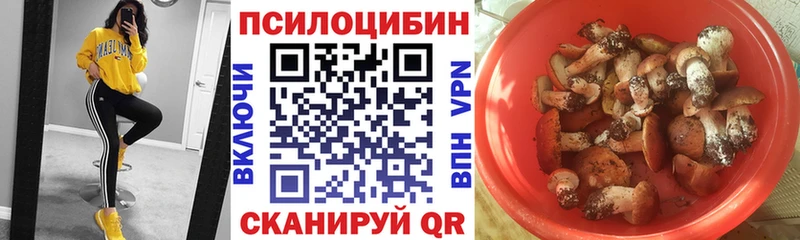 Псилоцибиновые грибы GOLDEN TEACHER  Волхов 