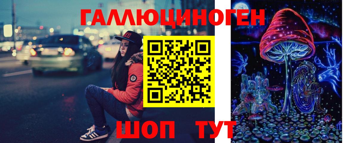 Галлюциногенные грибы прущие грибы Волхов